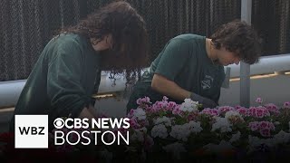 Massachusetts high school students plan every aspect of 4-day flower sale