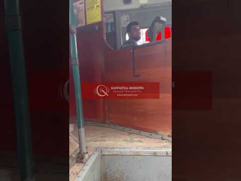 Водители автобусов в Петропавловске-Камчатском выкидывают из салонов юных велосипедистов