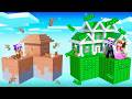 Dirt vs MONEY Skyblock Battle in Minecraft