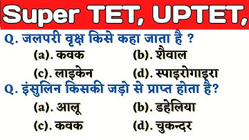 UPTET 2022 || Super TET EVS Important Questions || Super TET || UP LEKHPAL || SSC || RRB || UPPET