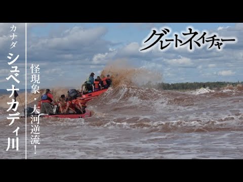 [グレートネイチャー] 怪現象・大河逆流！？ 30キロメートルのジェットコースター | カナダ北東部 シュベナカディ川 | NHK