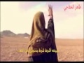 مصطفى الربيعي أمير النحل 2015 