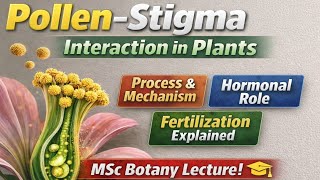 Pollen–Stigma Interaction | Process, Significance &amp; Hormonal Role | MSc Botany Detailed Lecture