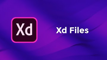Xd Files - Adobe Xd Basics Course