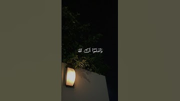 يَا أَيُّهَا الَّذِينَ آمَنُوا اسْتَجِيبُوا لِلَّهِ وَلِلرَّسُولِ - سورة الأنفال - عبدالله الخلف