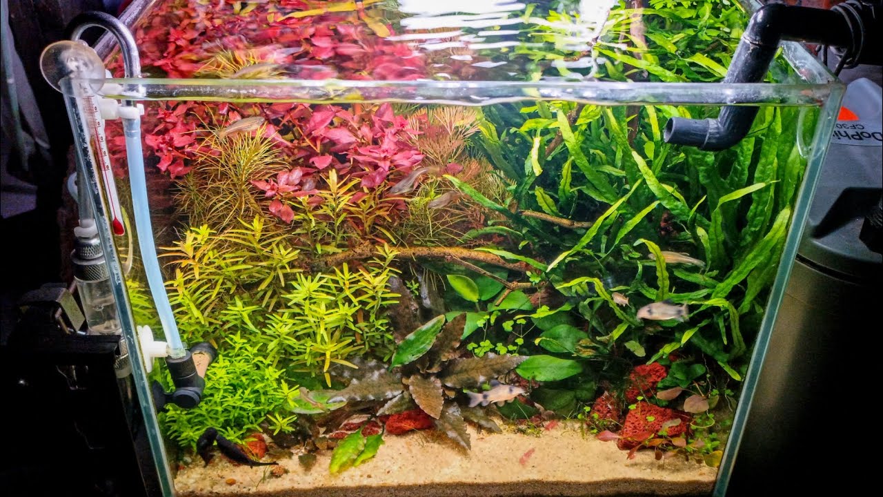 Gallery image with a fresh perspective