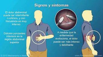 ¿Qué desencadena el dolor en la pancreatitis?