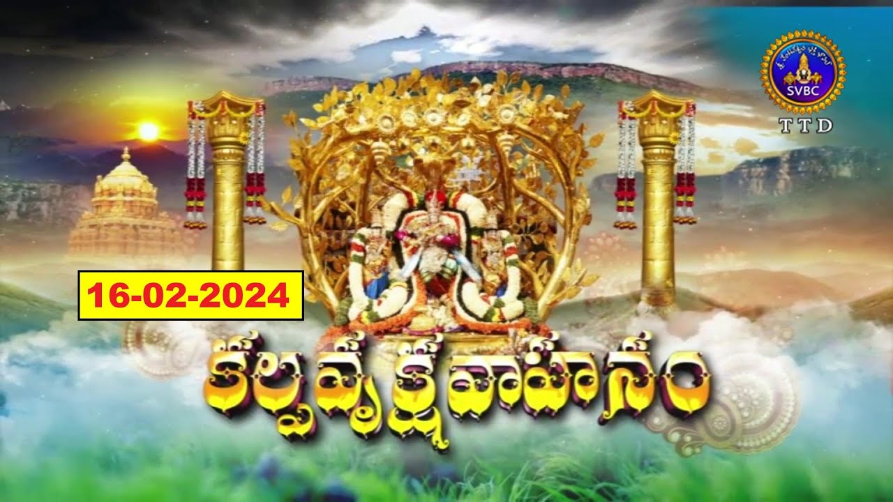Rathasapthami  Srivari kalpavrikshavahanam  Tirumala  16 02 2024  SVBC TTD