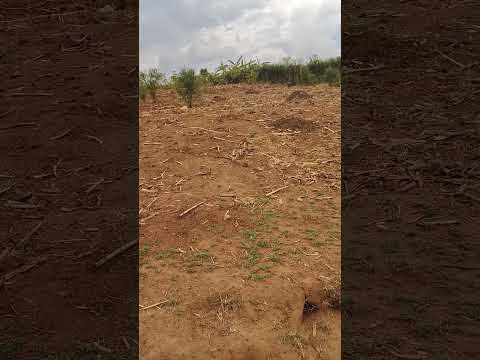 Plot for Sale in Bumbogo, Gasabo
