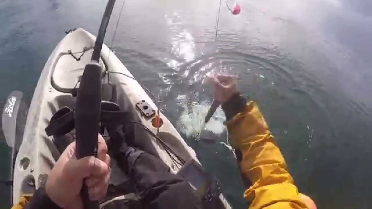 September 11 Cook Inlet Halibut - YouTube