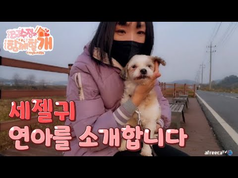 안성 유기견보호소 이뿐우리연아