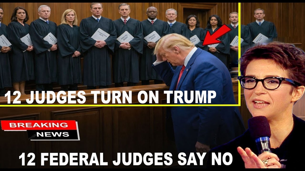 12 Federal Judges Rule Against Trump — His “Legal Winning Streak” Exposed as a Total Myth