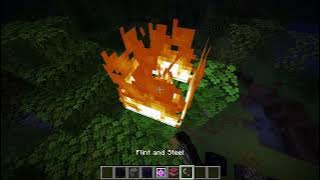 I swear im not crazy