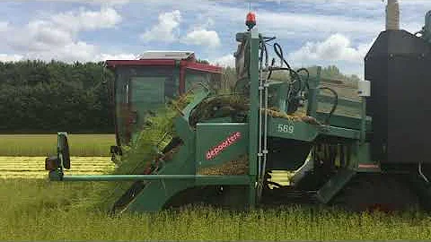 Arracheuse double DAEAHY - Depoortere