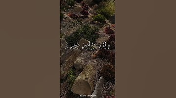 سورة التين و الزيتون بصوت جميل ♥️