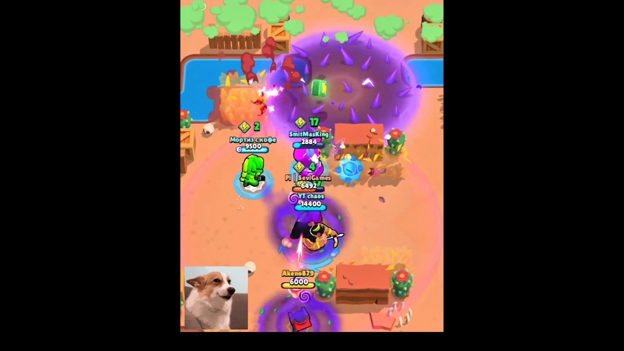 Трио доминирует 🔥 