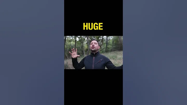 Organize your court case!  Divorce for me #divorcetipsfordads #fathersrights #childcustody