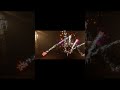 Firework Party #gaming #theothersidegame