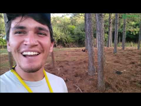 FIZ UMA SETRA E ERGUI NO PELOTAÇO