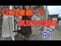 【狩猟】120㎏級！？猪猟友会式解体