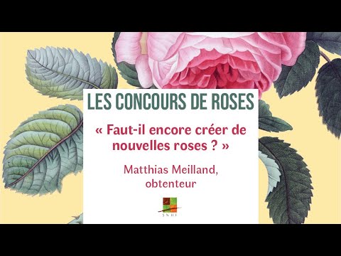 Faut il encore crer de nouvelles roses  Matthias Meilland