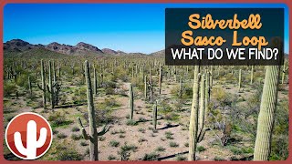 Off Road Arizona: Exploring Historic Remains and Scenic Beauty on the SilverbellSasco Loop