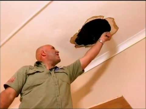 Diy How To Repair A Hole In The Ceiling Youtube