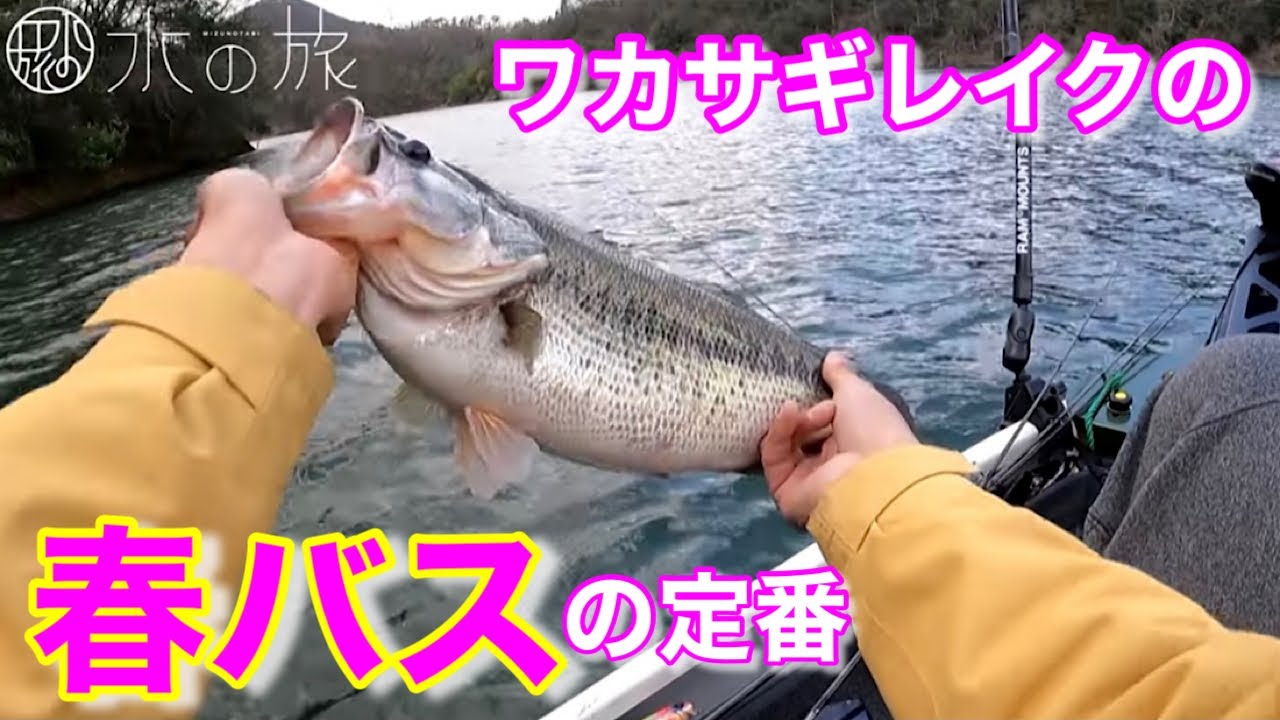 春のワカサギレイク 雑誌ロケの下見で入鹿池にきたら ワカサギ食いのビッグが 水の旅 ４６ Youtube