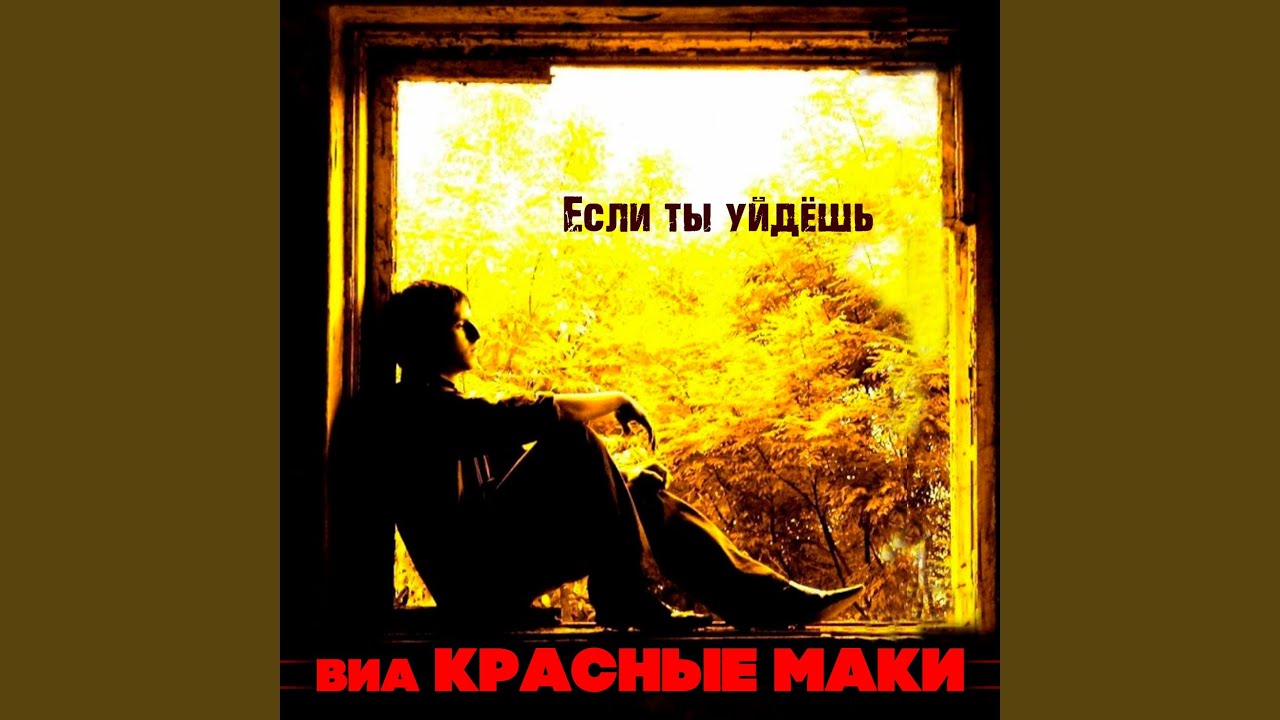 Осаго если ты виноват