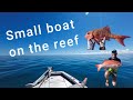Conquering the Reef with Barra Gear: Reef Fishing at Lucinda FNQ