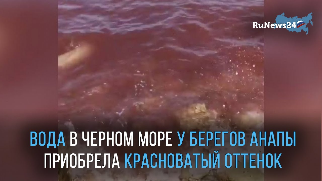 Когда вода прогреется в черном море 2025. Когда вода прогреется в черном море 2025