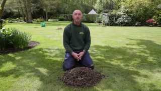 Hollow Tine Aeration - Why We Aerate Lawns