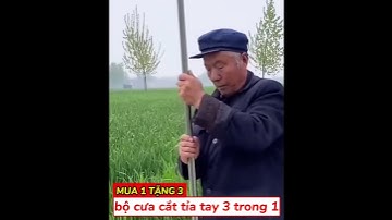 Lưỡi cưa sắc bén giúp cho việc cưa cành trở lên dễ dàng và không tốn sức