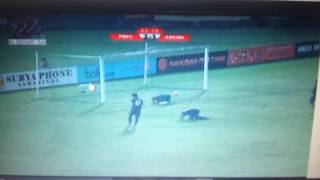 DownloadGol gonzales Arema vs pusam bfc tgl 11 desember 2016 di samarinda MP3 MP4 Gol gonzales Arema vs pusam bfc tgl 11 desember 2016 di samarinda