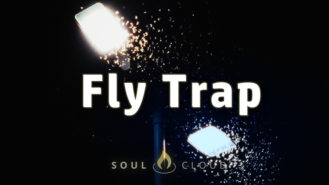 Avoiding False Lights