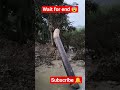 #flushing in pipeline? #shorts #viral #gaspipeline#piping #hydrotest #cleaning