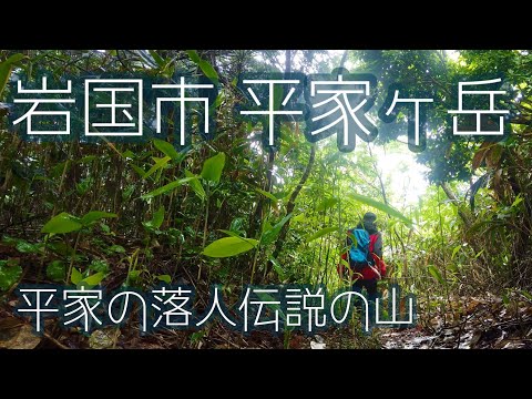 【登山】平家の落人伝説の山 岩国市錦町平家ヶ岳