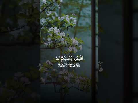 قل ان كنتم تحبون الله فاتبعوني اسلام صبحي Qur An