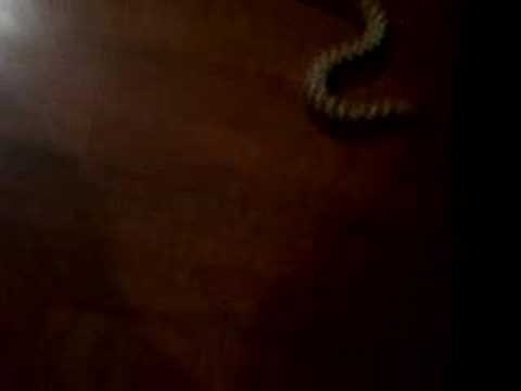 camera iphone 8 plus apk new snake 2
