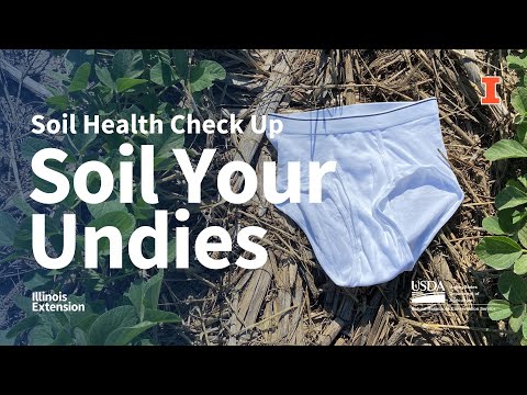 Soil Your Undies  Soil Health Check Up 