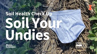 Soil Your Undies' to Test Health of Your Yard - ecoRI News