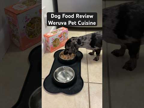 Dog Food Review