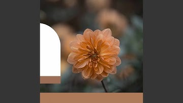 Sprightly Backdrops for Lazy Days