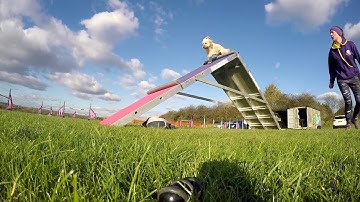 Running A Frame | 12/11/17 [1]