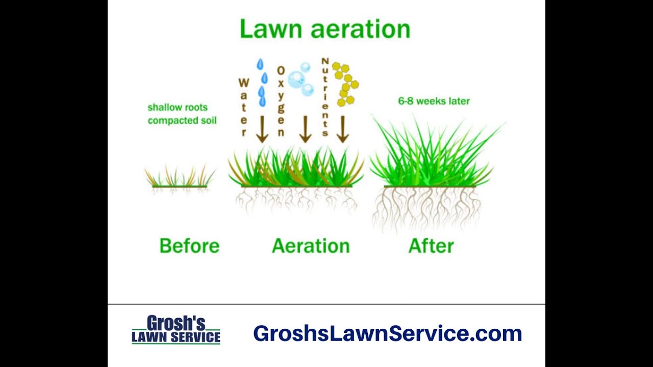 lawn-aeration-clear-spring-maryland-lawn-care-service-youtube