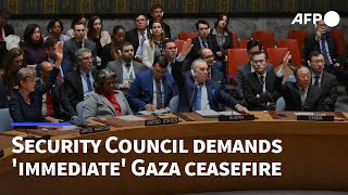UN Security Council for first time demands 'immediate' Gaza ceasefire, US abstains | AFP