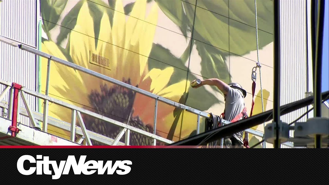 Giant mural on display in Calgary's Sunnyside neighbourhood