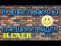 ЛУЧШИЕ ВИДЕО ПРИКОЛЫ