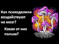 Как работают психоделики? Объяснение учёного.