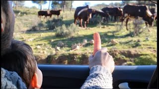 FAMILIA TAMBOR// Blog &quot;SOBREVIVIMOS EN EL CASTILLO DE LAS GUARDAS&quot;